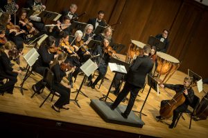 WSO Musicians