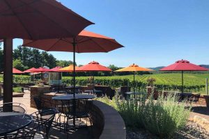 Winona Symphony Orchestra Elmaro Summer Social