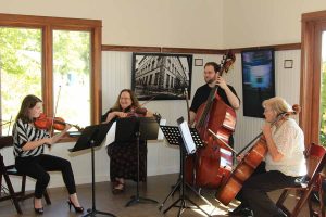 Winona Symphony Orchestra Elmaro Fundraiser - Music