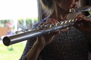 Elmaro Fundraiser - Music