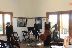 Winona Symphony Orchestra Elmaro Fundraiser - Music
