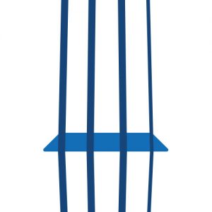 WSO Favicon