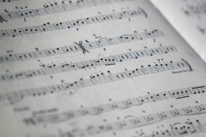 WSO Music