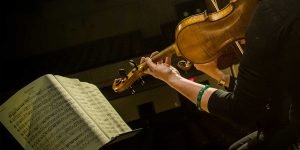 WSO Musician