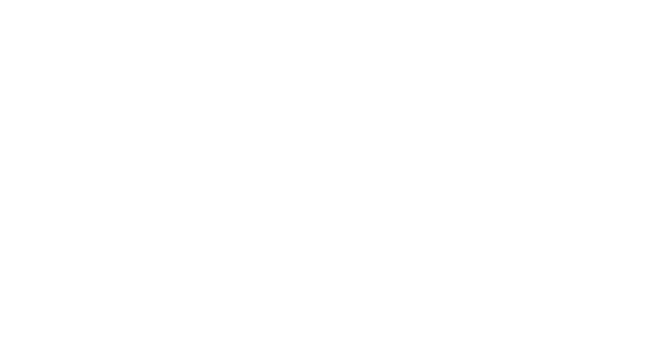 wso-logo-white